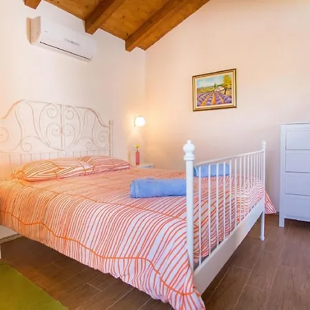 Medvidici Rajki